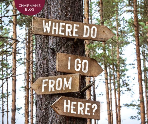 The Horse in the Kitchen - Where Do I Go From Here?