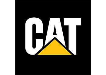 cat-logo