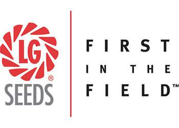 lg-seeds-logo